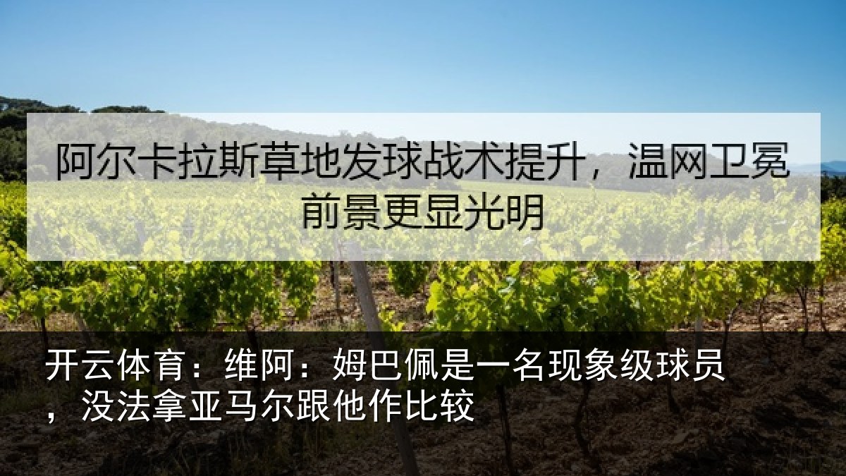 开云体育：维阿相关情况级球相关情况他作比较