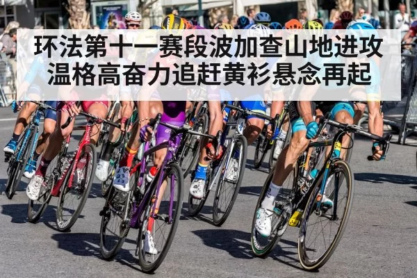 环法第十一赛段波加查山地进攻 温格高奋力追赶黄衫悬念再起