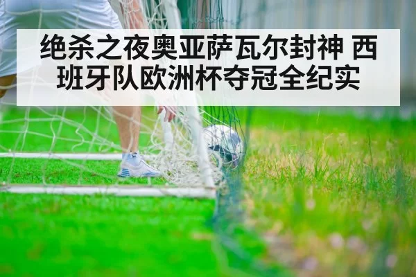 绝杀之夜奥亚萨瓦尔封神 西班牙队欧洲杯夺冠全纪实